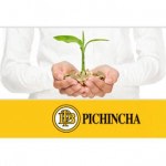 Banco Pichincha baja la rentabilidad de su depósito a 1 año hasta el 2,80% TAE