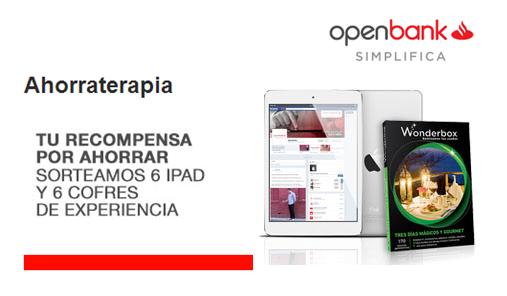 OPEN1 OPEN1