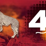 Cheetah, el 4G de Ocean's, llega en septiembre
