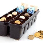 Novedades de la semana: un banco que sortea 5.000 euros y un nuevo depósito al 1,5 %