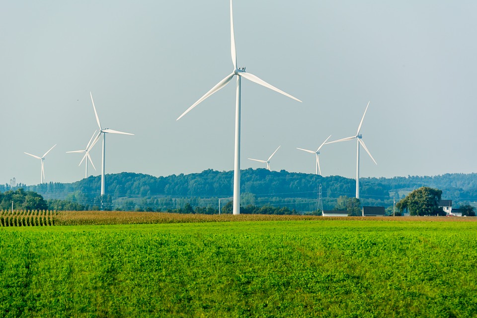 Cada vez hay más consumidores que demanda energía verde. ¿Qué compañías eléctricas son las mejores?