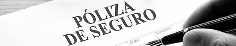 seguros