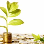 Así han evolucionado los intereses de los depósitos en los últimos años