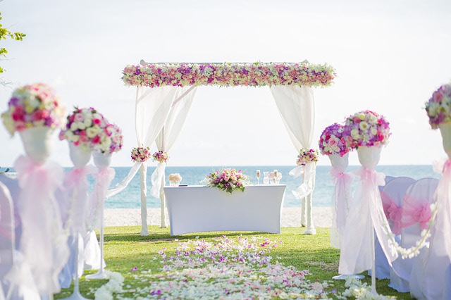 portal de bodas coinc