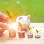 Conoce los préstamos personales diseñados para financiar tu proyecto sostenible