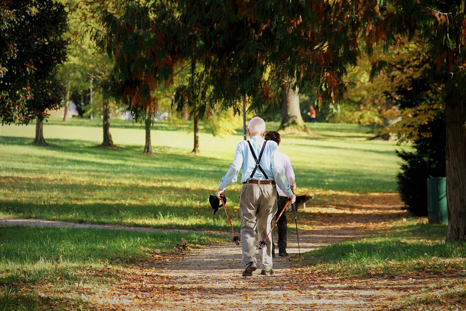 fondo de pensiones