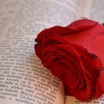 Cuentas transparentes que son como un libro abierto