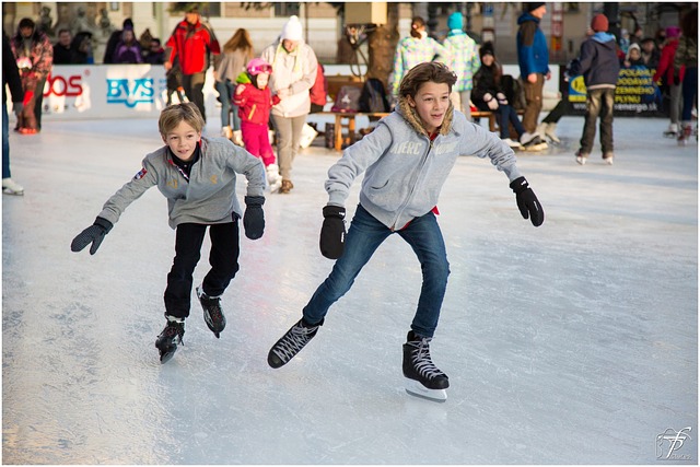 ice-skating-235547_640 ice-skating-235547_640