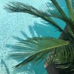 5 cuentas con regalo para triunfar este verano 2019