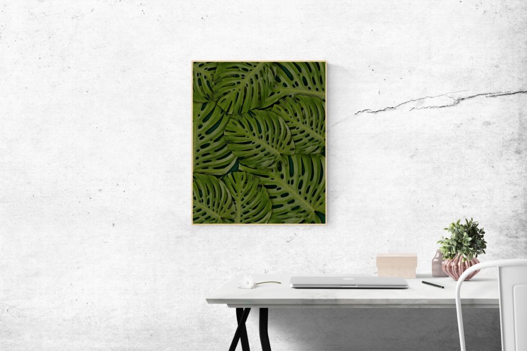 rectangular-green-swiss-cheese-leafed-plant-photo-mounted-on-1534924 mejores prestamos sin cambiar de banco