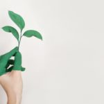 BBVA lanza un nuevo producto de inversión sostenible, ¿vale la pena?