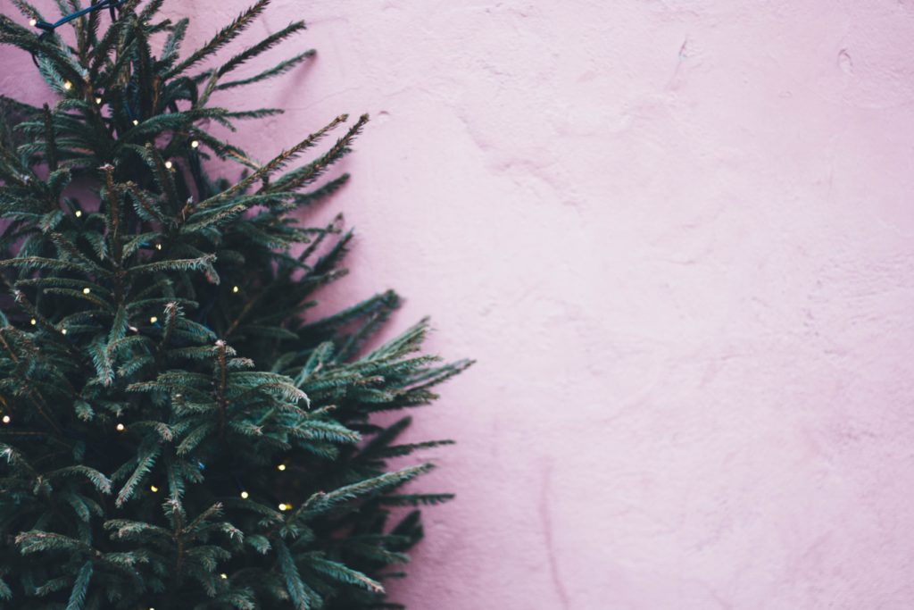 photo-of-green-leaf-plant-near-pink-paint-wall-814266 financiar compras de navidad