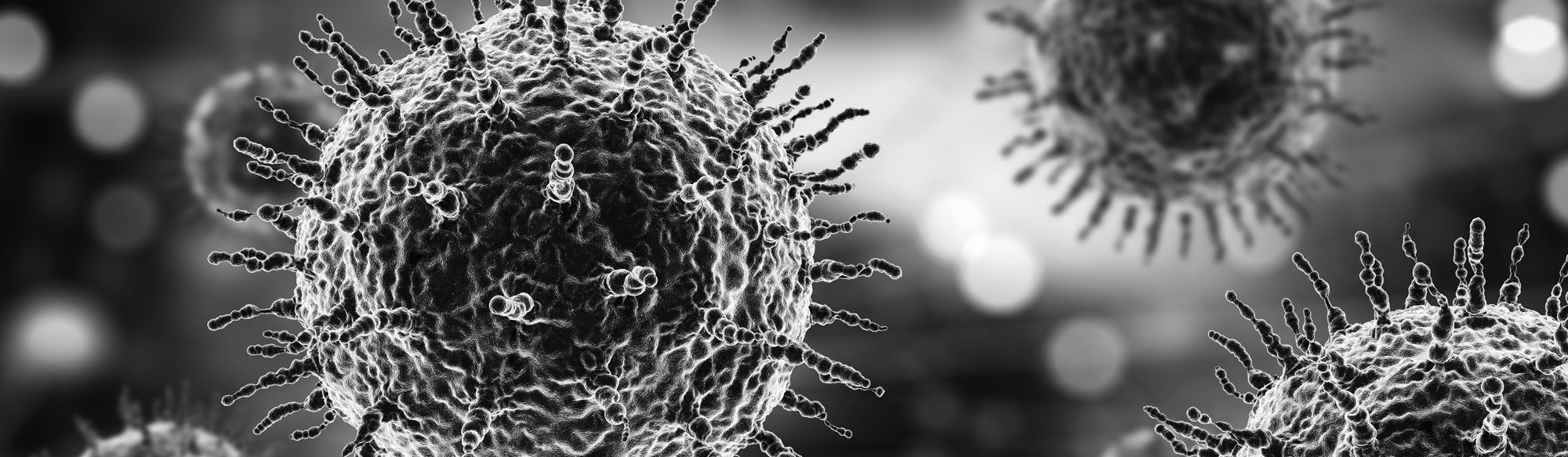 coronavirus