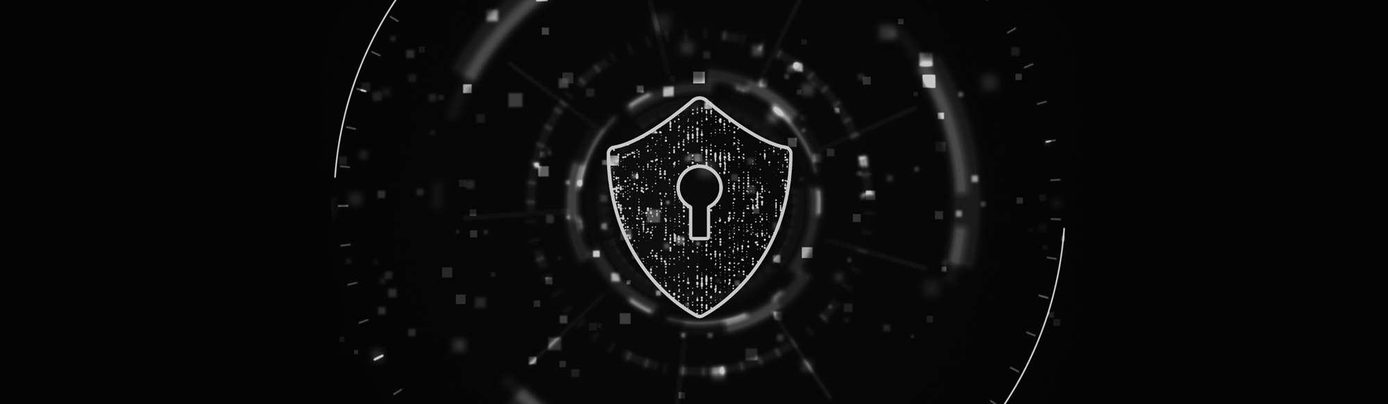 seguridad