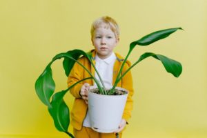 prestamos para reformas ecologicas