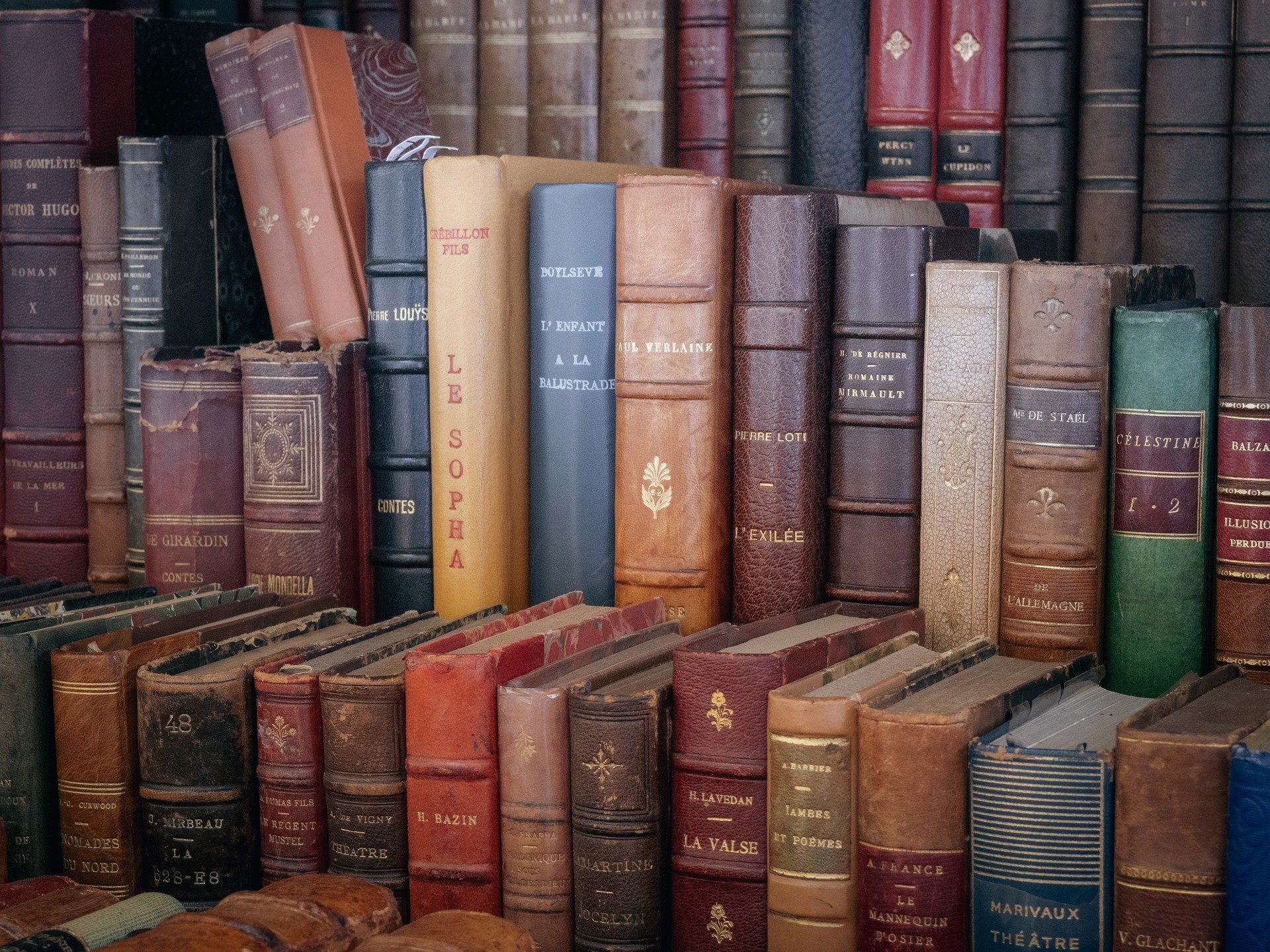 biblioteca