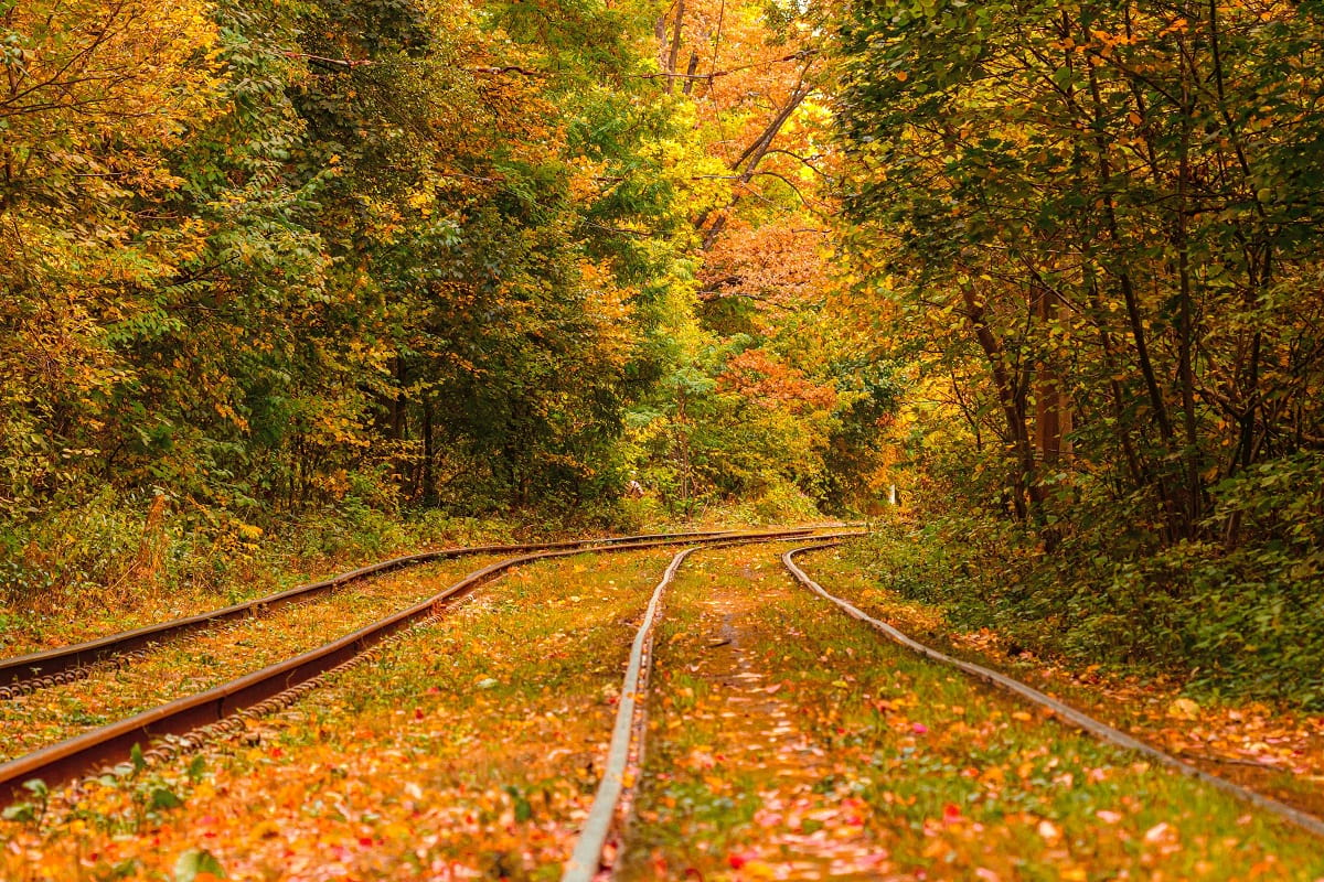 Tarjeta de crédito para viajar en otoño