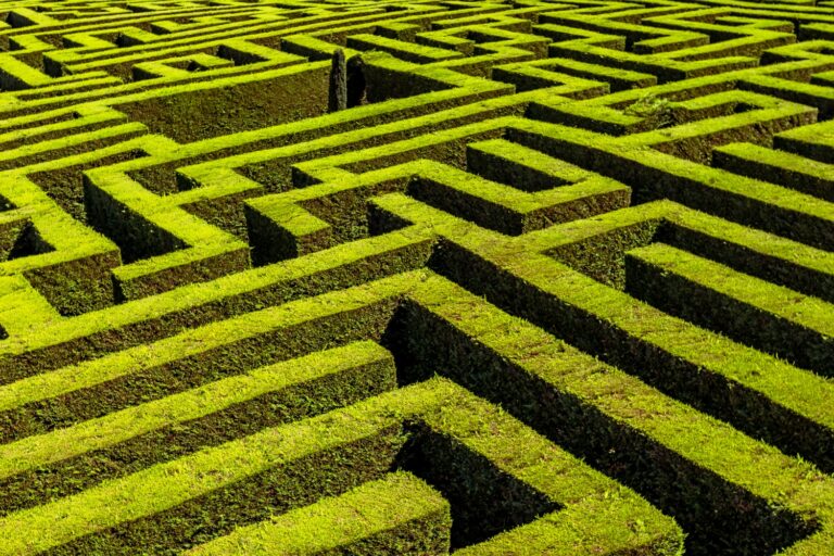 Laberinto de plantas de color verde