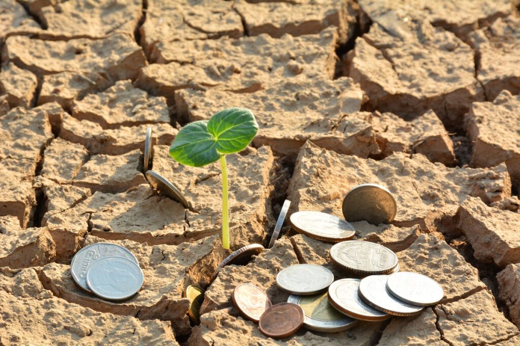 Monedas encima de un terreno desertificado